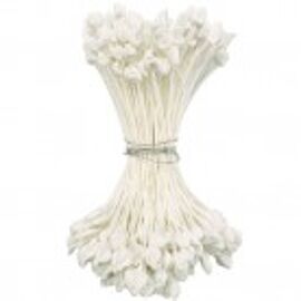 pearl white - medium - stamens Culpitt